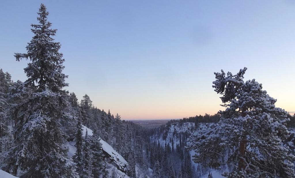 Lapland Snow Cabin Masugnsbyn Экстерьер фото