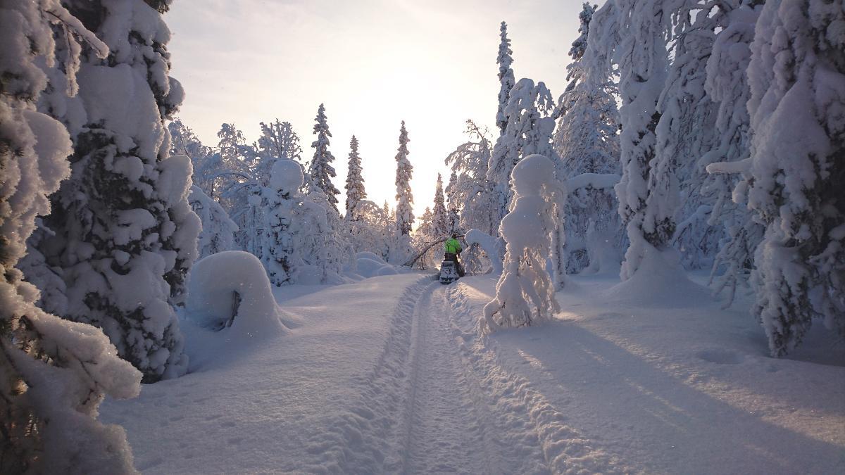 Lapland Snow Cabin Masugnsbyn Экстерьер фото